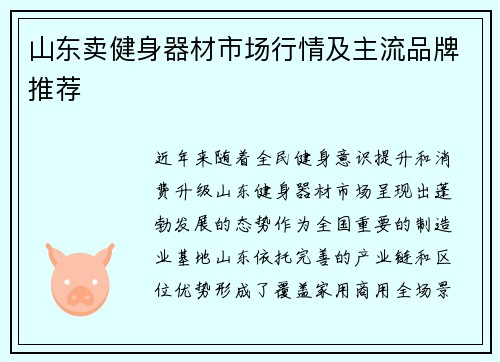 山东卖健身器材市场行情及主流品牌推荐